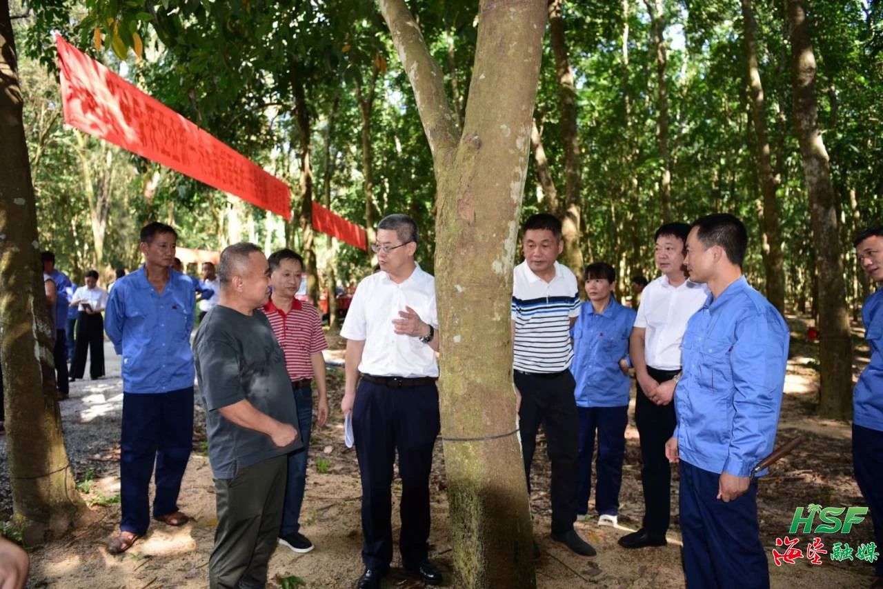 艾軼倫一行人在全國割膠狀元張健的膠園調研